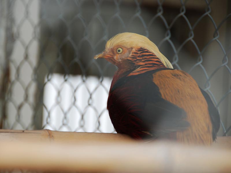 B(nio)Z(y)ְȫW(wng)