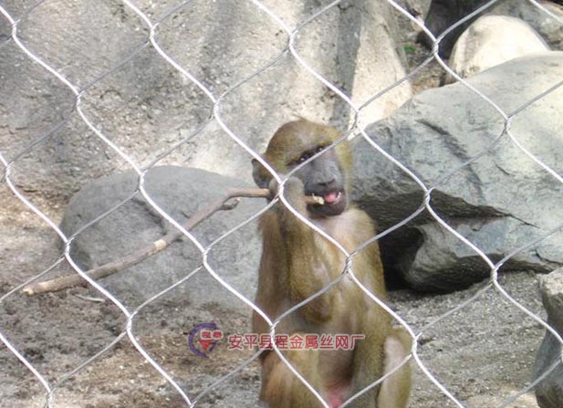 P䓄(dng)@o(h)W(wng)c(din)