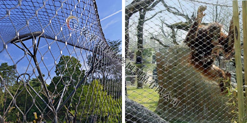 狼舍不銹鋼繩網