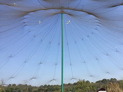 ؎XB(nio)Z(y)־W(wng),(dng)@o(h)W(wng)̰