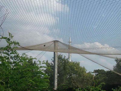 M݄(dng)@o(h)W(wng)̰