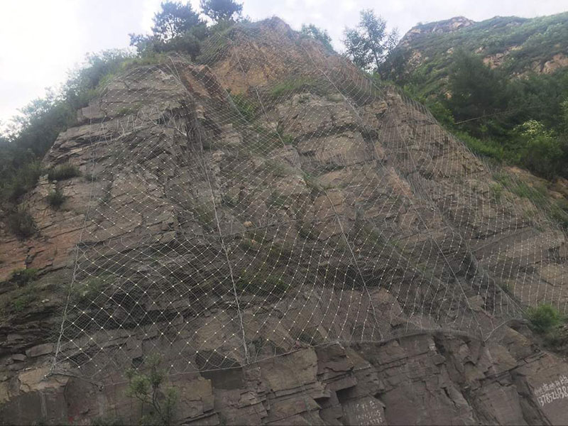 ־^(q)(dng)o(h)W(wng)bF(xin)(chng)